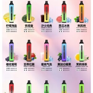 SP2S 7000 Puffs 大容量拋棄式電子菸 (便攜款)